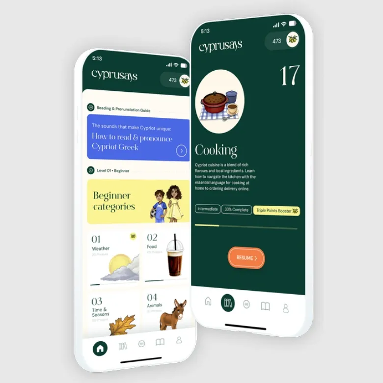 Image of the Cyprusays app