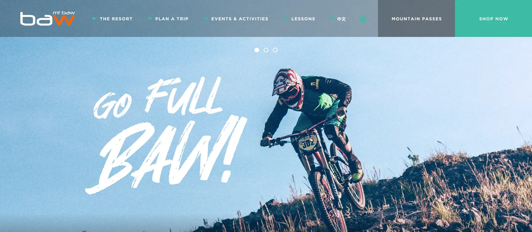 Image of the website summer version 